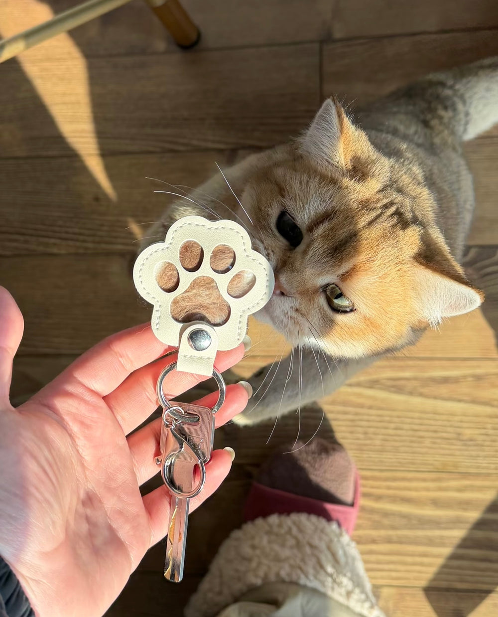 Paw Print Pet Hair Keepsake Keychain