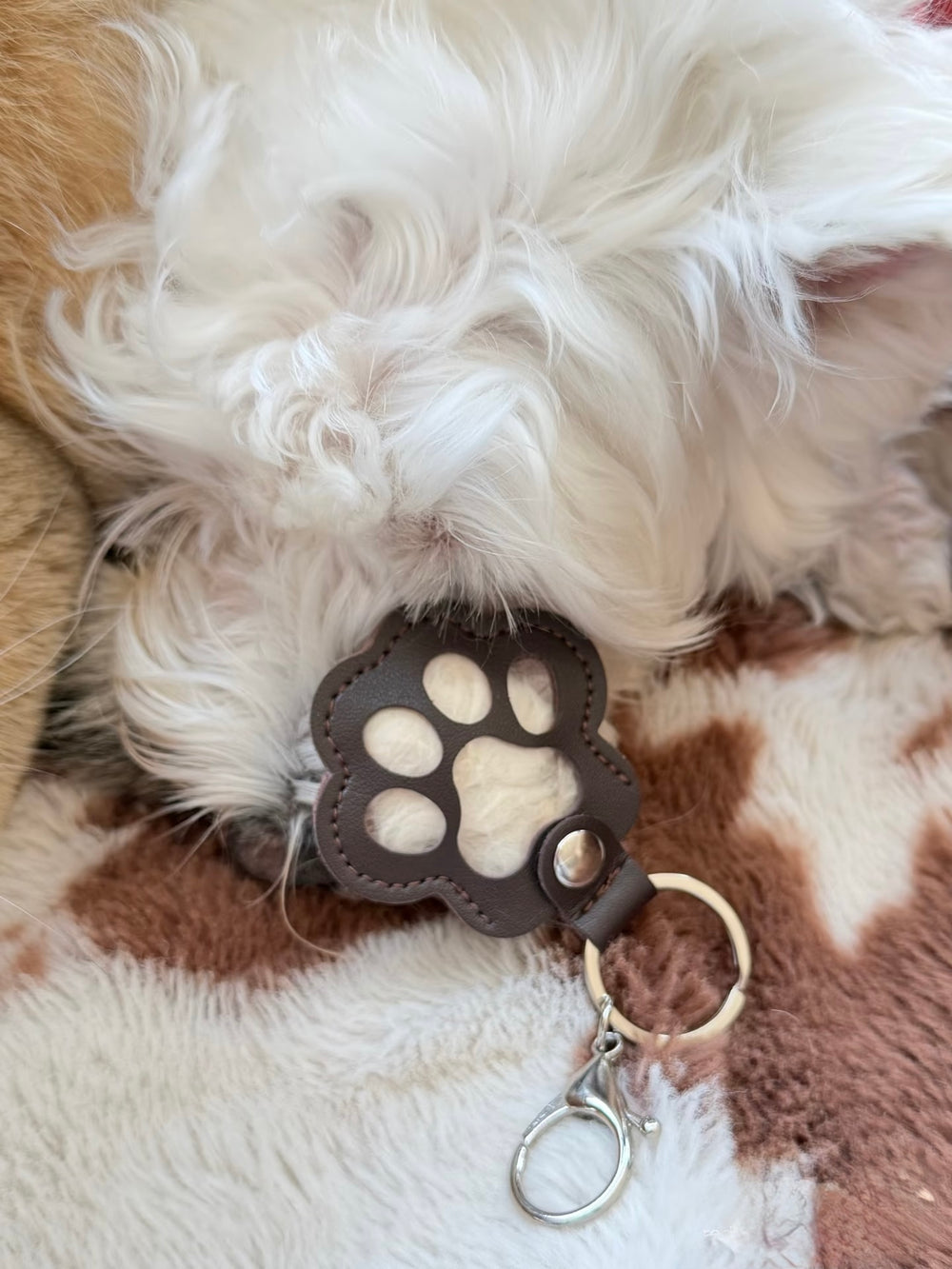 Paw Print Pet Hair Keepsake Keychain