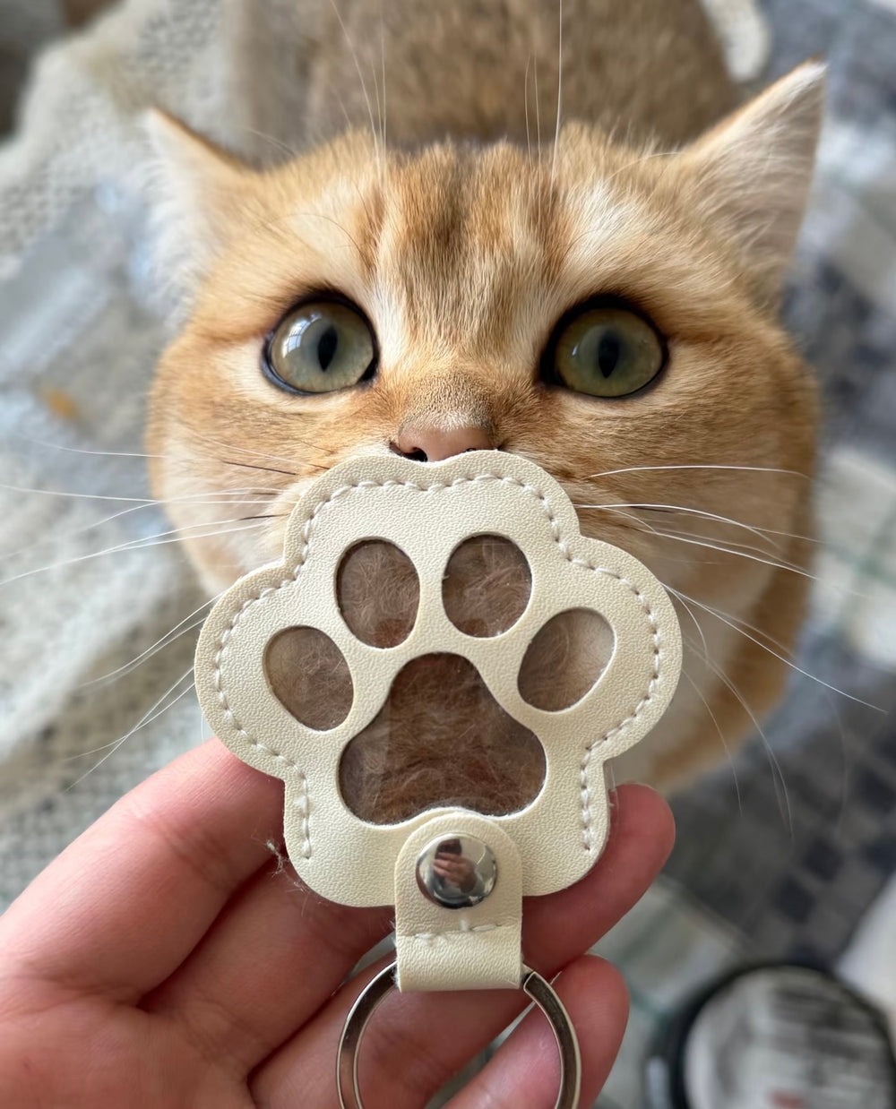 Paw Print Pet Hair Keepsake Keychain