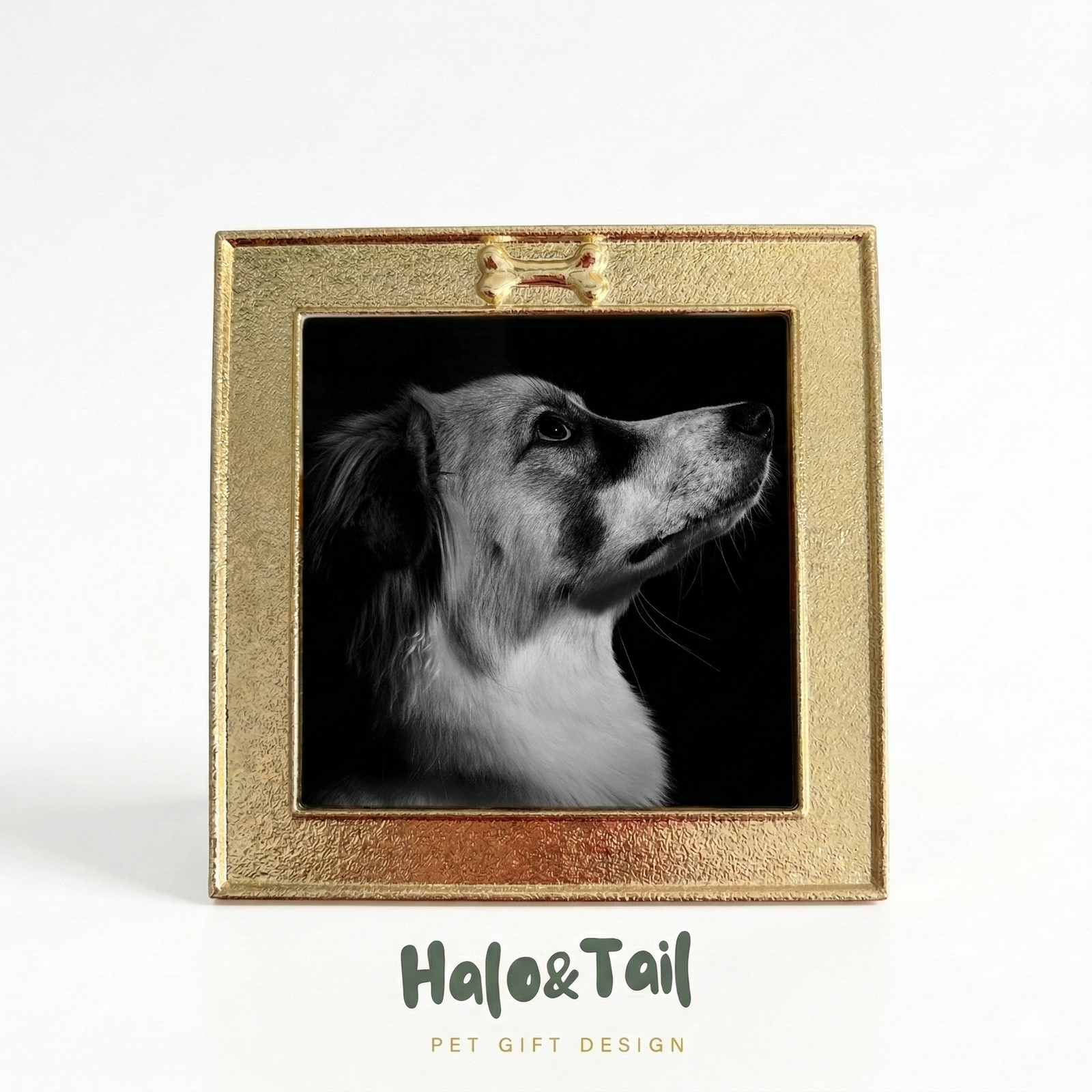 Gold and Quiet — Square Memorial Pet Photo Frame
