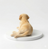 Custom realistic polymer clay pet figurine, yellow dog sculpture side view