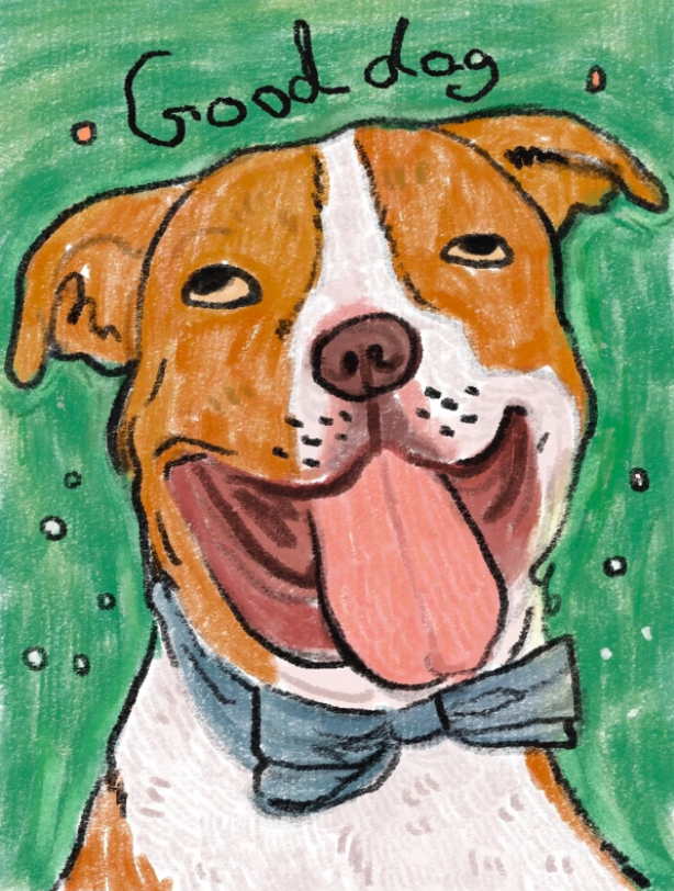 Their Story — Custom Storybook Toon Pet Portrait