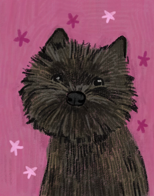 Their Story — Custom Storybook Toon Pet Portrait